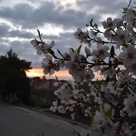 Lägenhet O Palaios Fournos Tou Andrea Argostoli (Kefalonia)