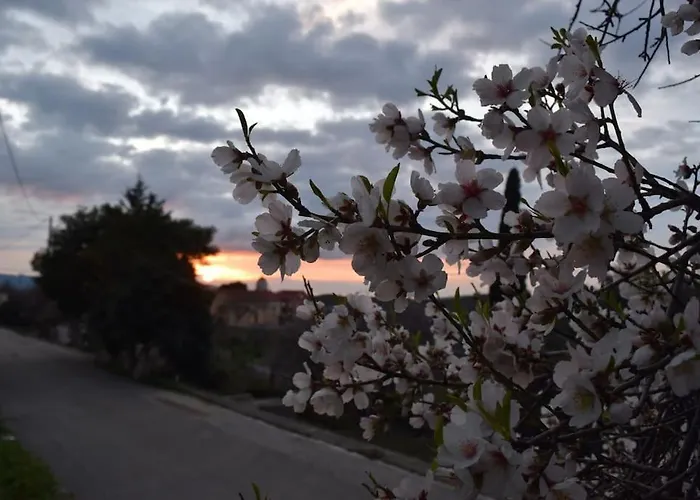 公寓 O Palaios Fournos Tou Andrea 阿尔戈斯托利翁