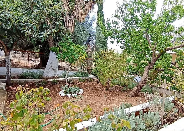 O Palaios Fournos Tou Andrea * 阿尔戈斯托利翁